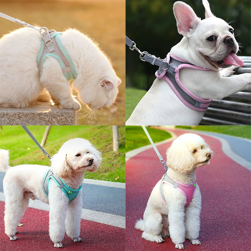 Adjustable Cat Harness Leash Set for Dogs & Pets