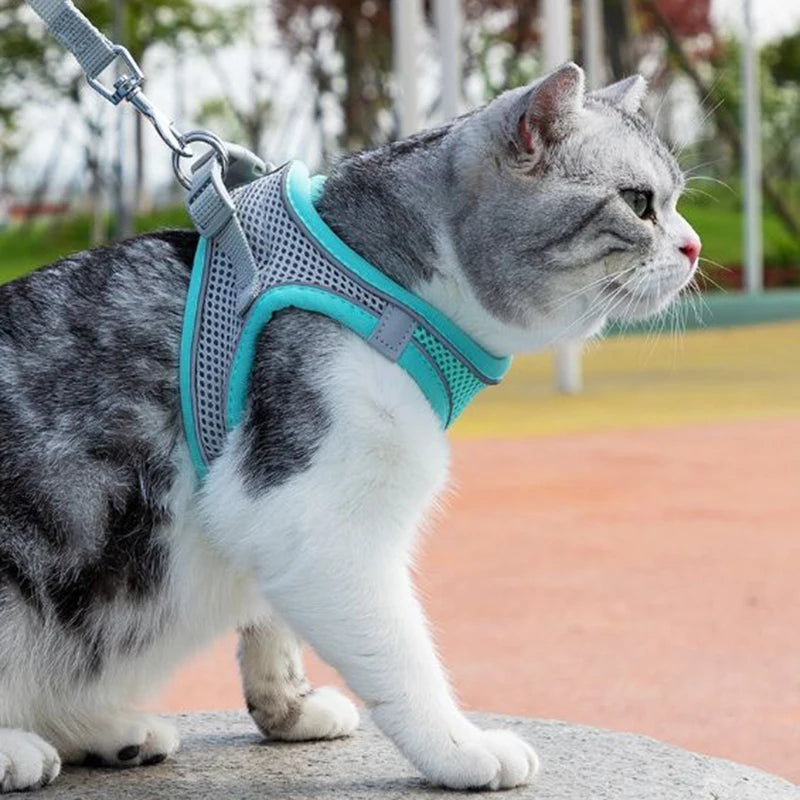 Adjustable Cat Harness Leash Set for Dogs & Pets