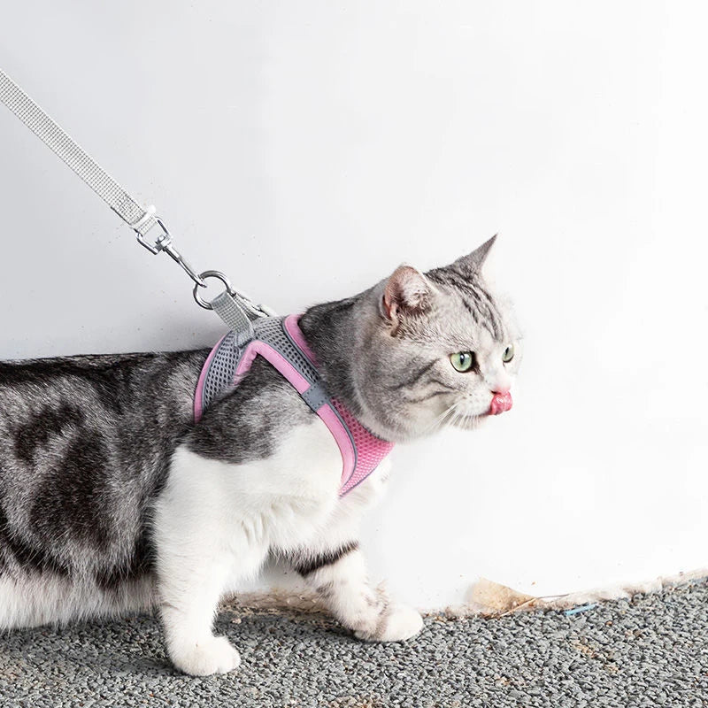 Adjustable Cat Harness Leash Set for Dogs & Pets