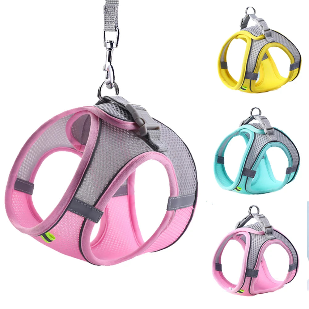 Adjustable Cat Harness Leash Set for Dogs & Pets