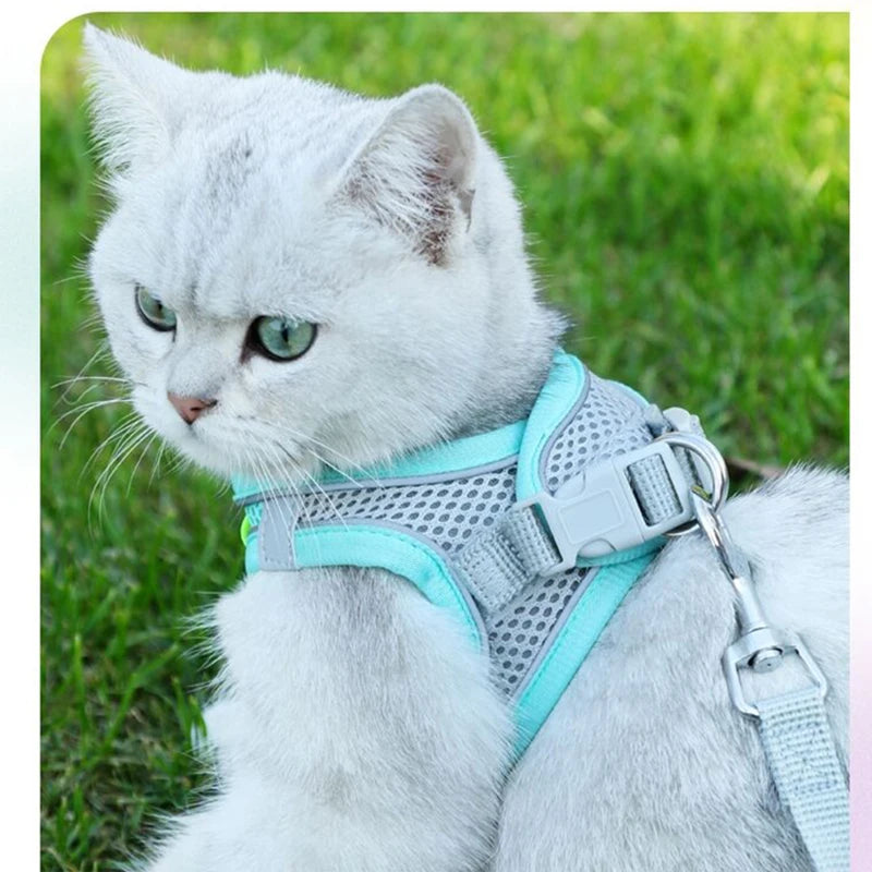 Adjustable Cat Harness Leash Set for Dogs & Pets